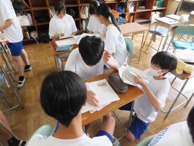 ２国語４