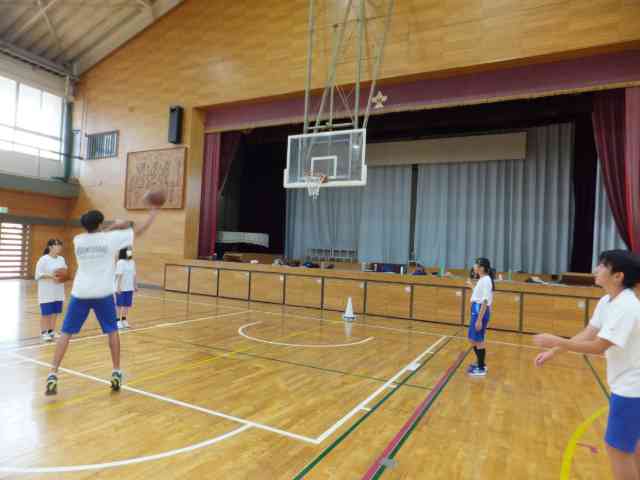 ３体育３
